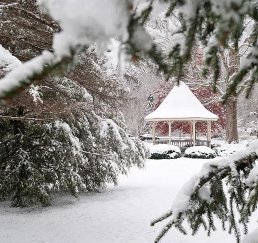 Snowy scene