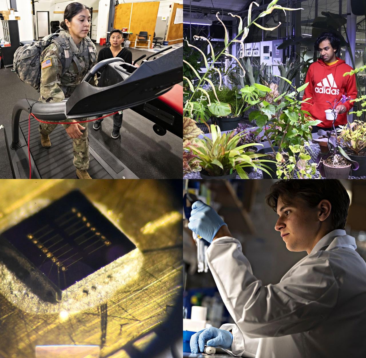 Research around campus